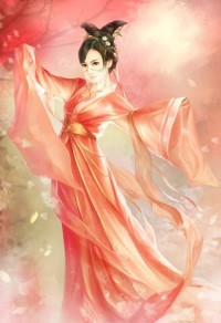 重生特工艳美录